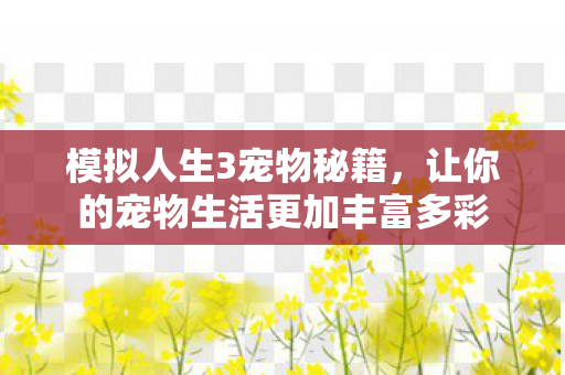 让你的宠物生活更加丰富多彩图片
