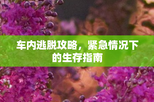 紧急情况下的生存指南图片