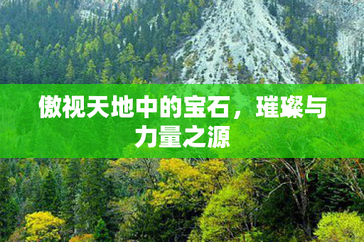 傲视天地中的宝石图片
