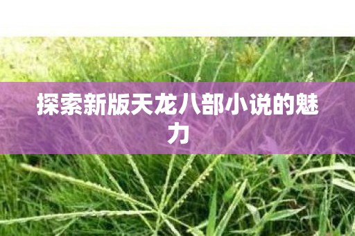 探索新版天龙八部小说的魅力图片