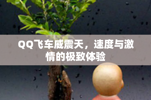 速度与激情的极致体验图片