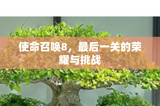 最后一关的荣耀与挑战图片