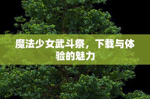 下载与体验的魅力图片
