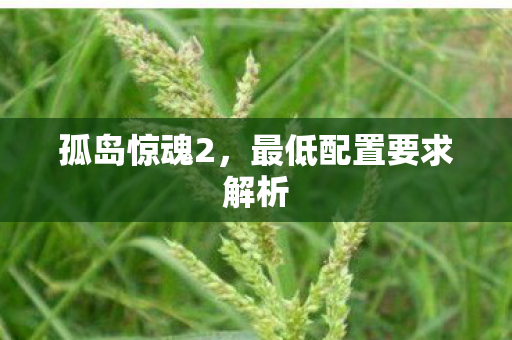 最低配置要求解析图片