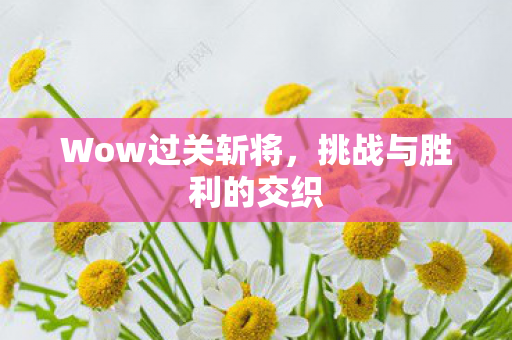 挑战与胜利的交织图片