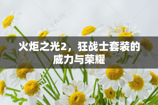 狂战士套装的威力与荣耀图片