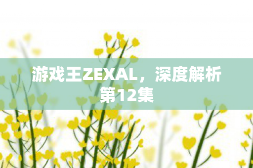 游戏王ZEXAL图片