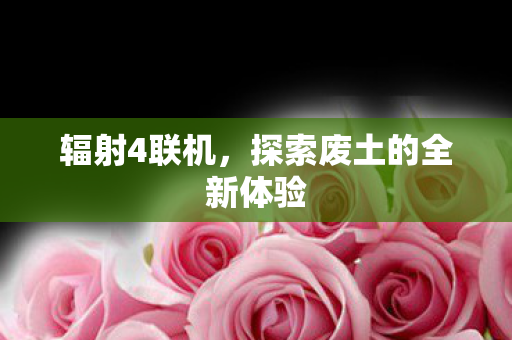 探索废土的全新体验图片