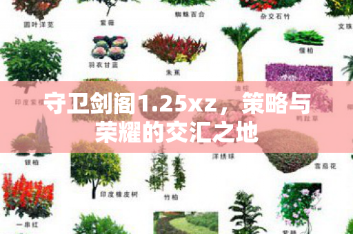 策略与荣耀的交汇之地图片