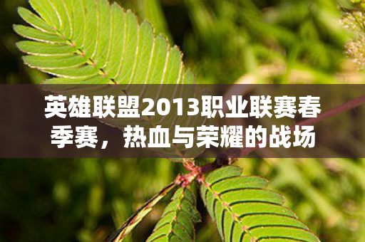 英雄联盟2013职业联赛春季赛图片