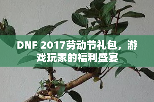 DNF 2017劳动节礼包图片