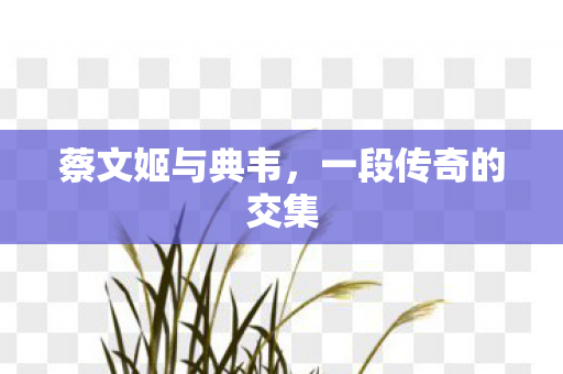 一段传奇的交集图片