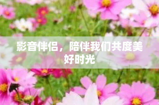 陪伴我们共度美好时光图片