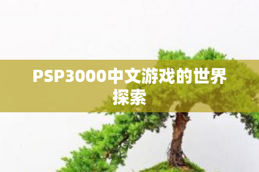 PSP3000中文游戏的世界探索图片