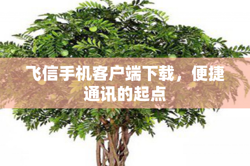 飞信手机客户端下载图片