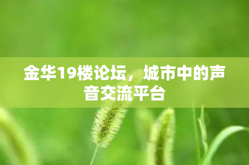 城市中的声音交流平台图片