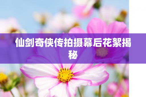 仙剑奇侠传拍摄幕后花絮揭秘图片