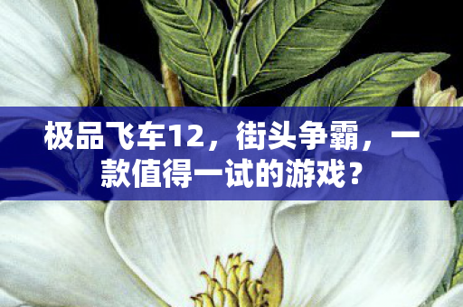 一款值得一试的游戏图片