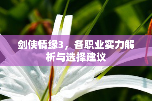 各职业实力解析与选择建议图片