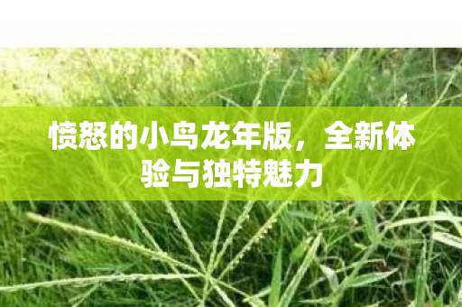 全新体验与独特魅力图片