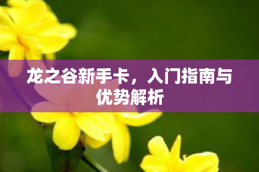入门指南与优势解析图片