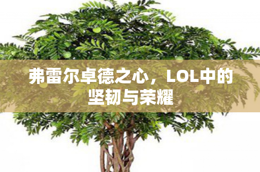 LOL中的坚韧与荣耀图片