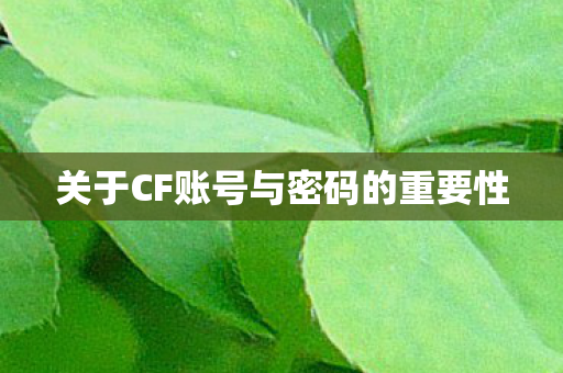 关于CF账号与密码的重要性图片