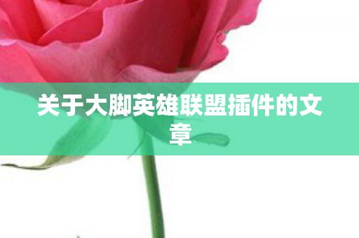 关于大脚英雄联盟插件的文章图片