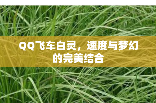 速度与梦幻的完美结合图片