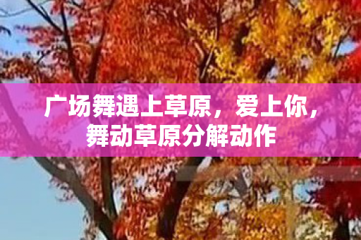 舞动草原分解动作图片