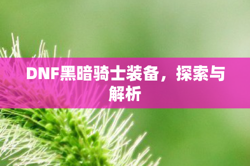 DNF黑暗骑士装备图片