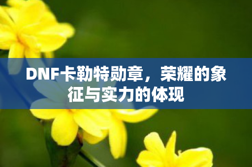 荣耀的象征与实力的体现图片