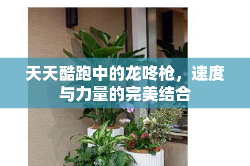 速度与力量的完美结合图片