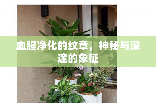 神秘与深邃的象征图片