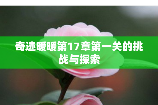 奇迹暖暖第17章第一关的挑战与探索图片