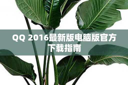 QQ 2016最新版电脑版官方下载指南图片