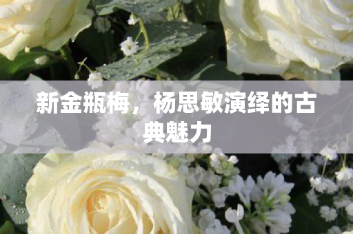 杨思敏演绎的古典魅力图片
