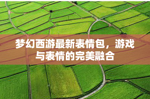 游戏与表情的完美融合图片