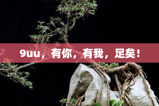 9uu图片