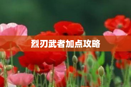 烈刃武者加点攻略图片