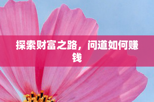 探索财富之路图片