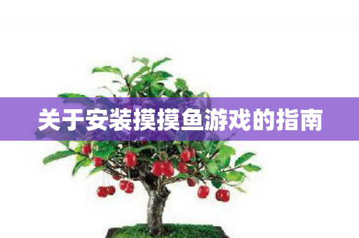 关于安装摸摸鱼游戏的指南图片