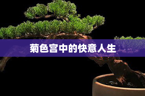 菊色宫中的快意人生图片
