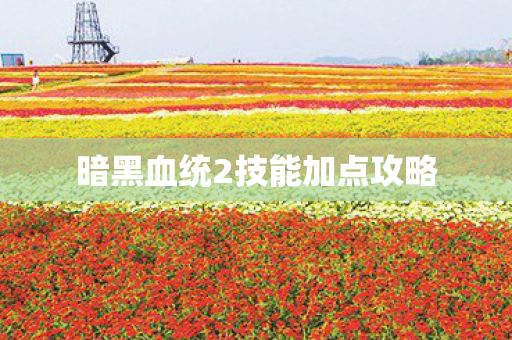 暗黑血统2技能加点攻略图片
