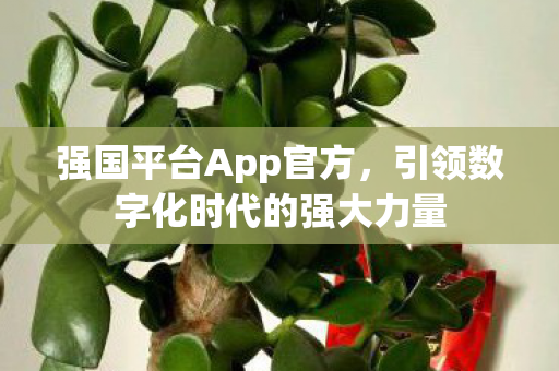 引领数字化时代的强大力量图片