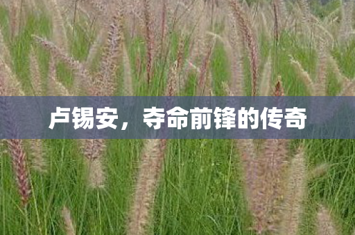夺命前锋的传奇图片