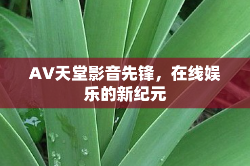 AV天堂影音先锋图片