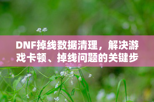 DNF掉线数据清理图片