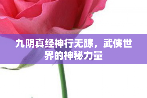 武侠世界的神秘力量图片