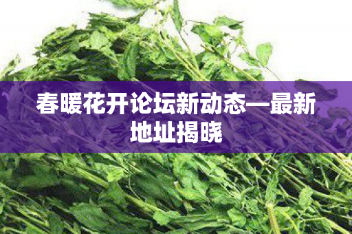 春暖花开论坛新动态图片